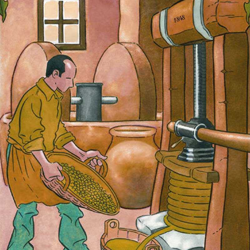Illustrazione storica del Frantoio Tavian di Vado Ligure